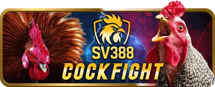 Hoàn trả hàng ngày tại 3in1bet